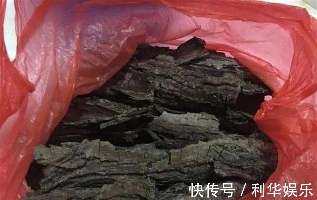 排水性|君子兰的土里掺点“它”,10年不烂根,越长越壮实