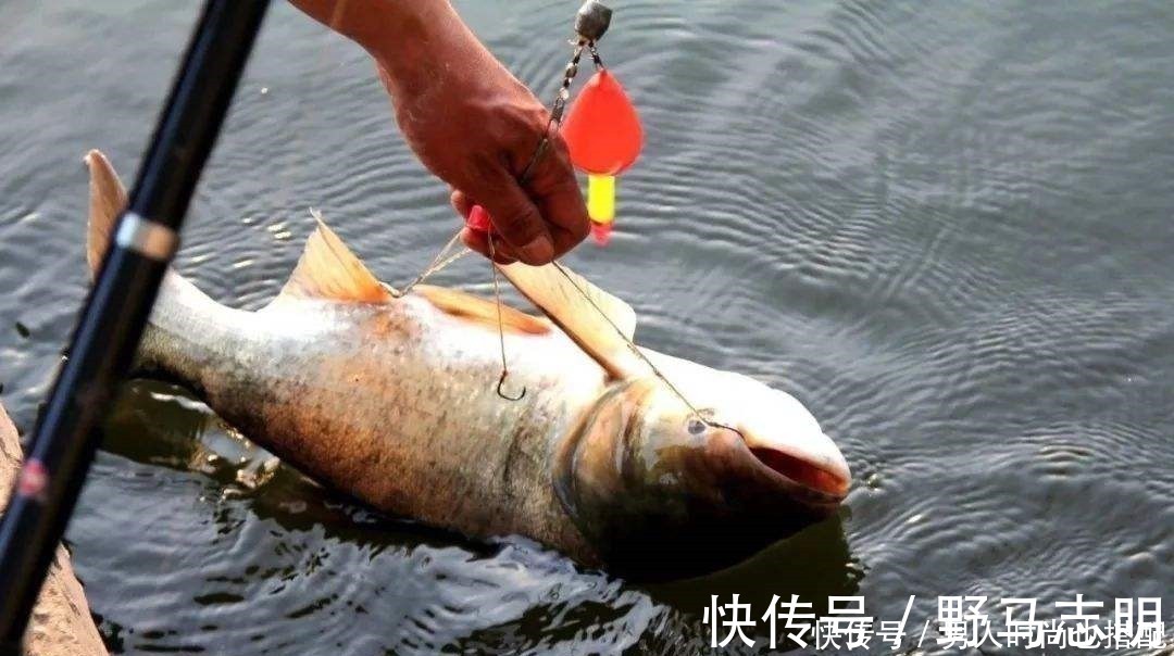 常见的四种鲢鱼钓法,有三种已经不让用了