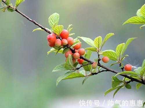 汉高祖|真正厉害的人，都有这样一个特质，值得大家学习