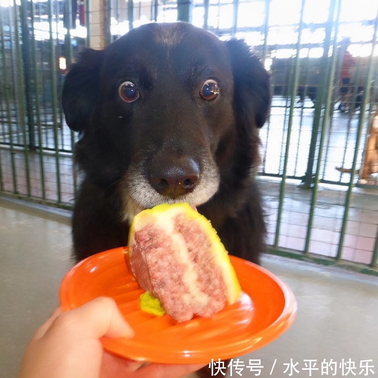 |开心一刻:吃饭不宜看,容易喷饭的搞笑图片,喜欢的请收藏