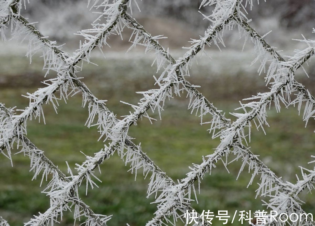 温暖期|天宫粮仓漏了？河南多地下起了“长粒香型”大雪，为何有人会害怕