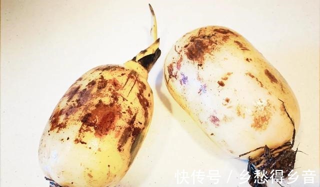 清洗干净|这6种蔬菜是菜中“冠军”,特殊时期建议要多吃,增强体质少生病!