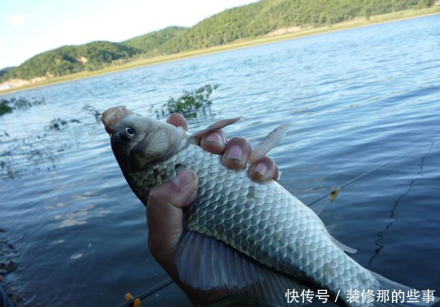 雨水时常让钓鱼变得好钓又难钓，对此我有几点要说……