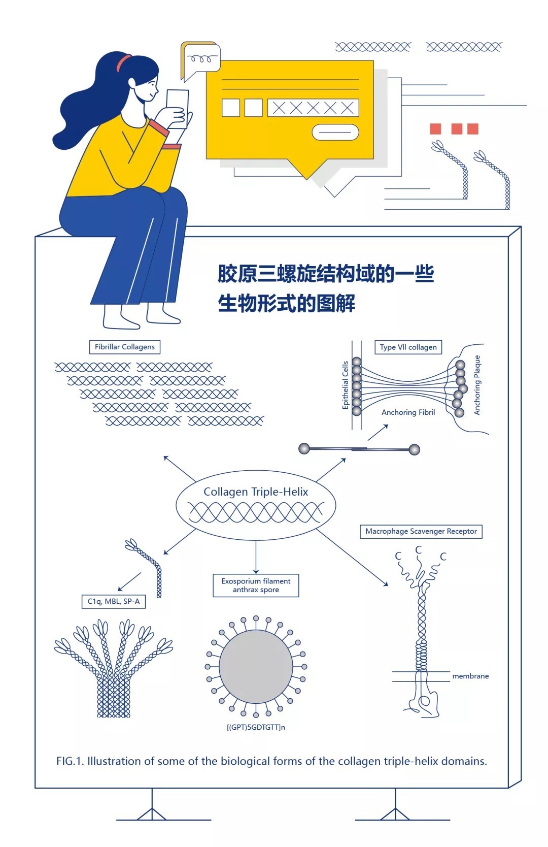 五分钟，领取终生保养秘笈