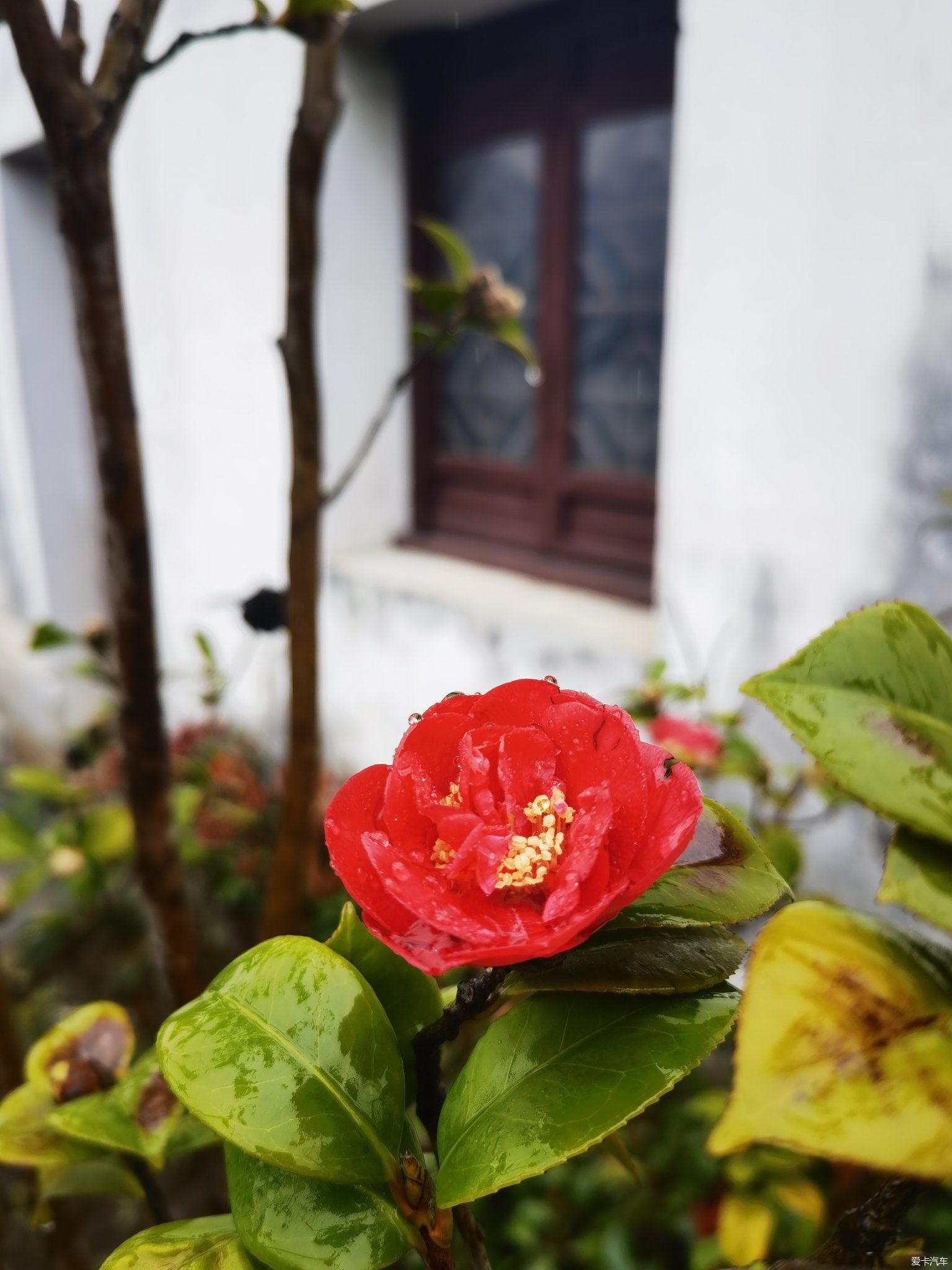 【爱卡踏青季】雨中漫步恬庄古镇