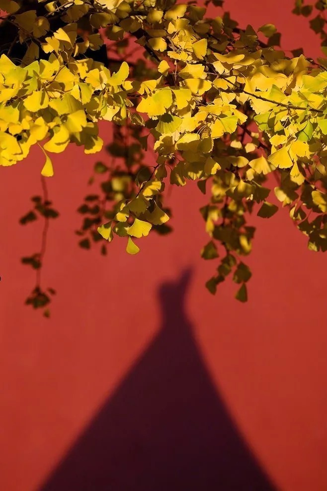 贱者@鬼谷子这九句话,总结了与人交往的所有诀窍