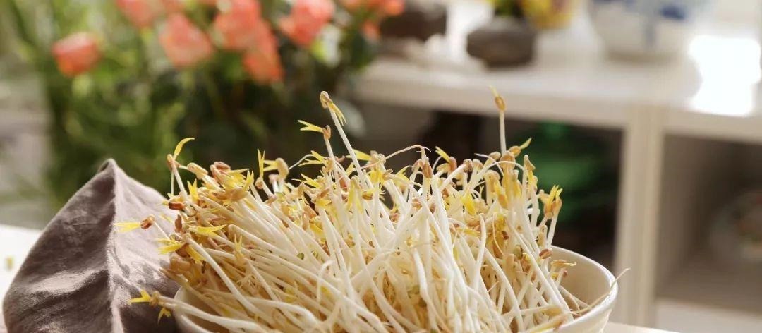 长寿菜|它是排行第一的长寿菜, 竟然好多人不知道! 天天都能吃, 家家都有!