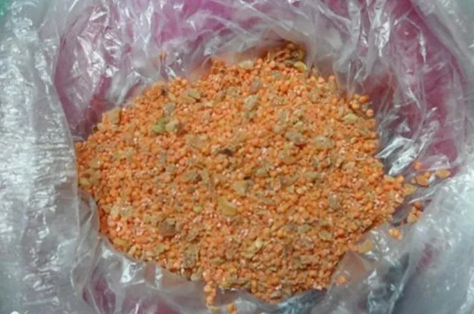 你不能不知道:冷天一用这2种窝料,别不信,大板鲫好钓到没话说