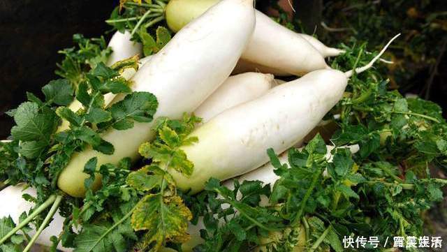 保存萝卜别放冰箱别埋土里,学会这一招,不烂不糠心,半年也不坏