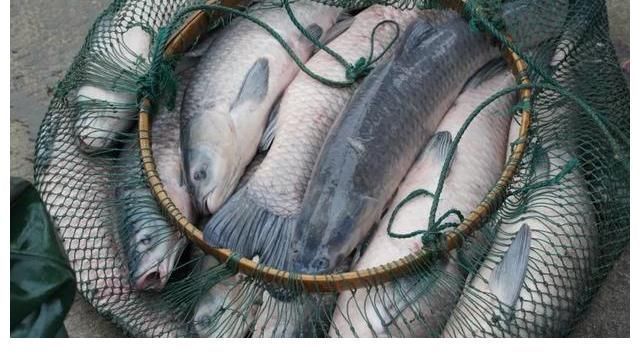 一语双关@4个对仗工整的对联,4个趣味对联故事,令人拍案叫绝