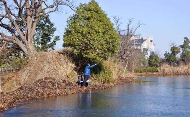 冬季钓鲤鱼,掌握下面几个小技巧,爆盆爆桶心情好