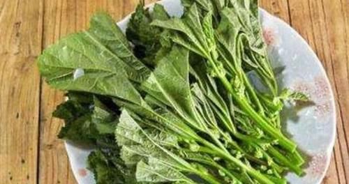 女性不想變老，幾種食物要多吃，排毒養顏，美白抗衰老