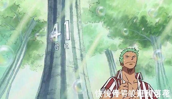 贝利|海贼王草帽团人人都有三个宝贝,娜美最心动,乔巴你绝对想不到