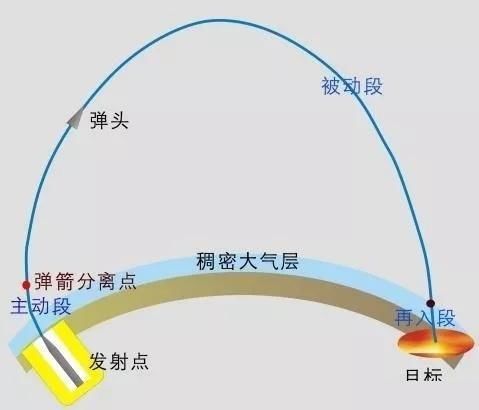 摔死、热死太空动物悲惨结局，回地球没成英雄，却差点成标本