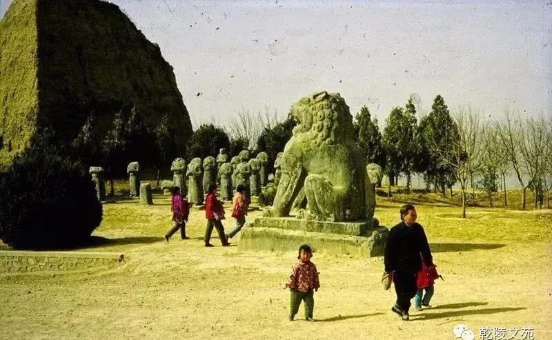 举世闻名|举世闻名的乾陵