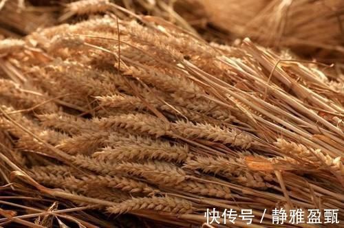 降脂药|高血脂的“救星”找到了!做到3事,血管告别“堵车”,越发年轻