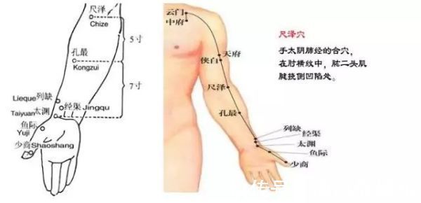 汗液|汗从哪里出，病从哪里来！夏天爱出汗的，快对照看看吧！