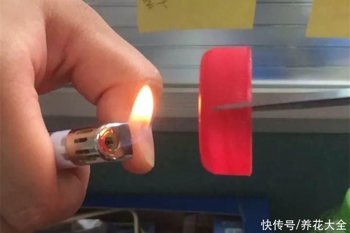 旧筷子、老干妈瓶别扔，拿来养花效果好，省下一笔养花钱