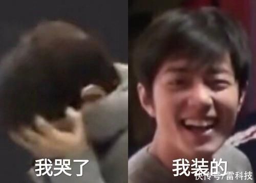 图片|全球最大的云盘翻车！四万亿张高清图被毁，用户苦不堪言