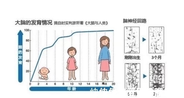 家长|6岁前孩子有这4表现，说明智商高，家长要好好培养