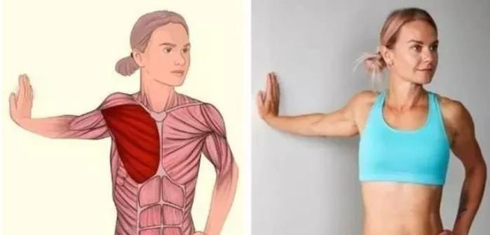 强身健体|全身拉筋3D图解，一步到位，在家也能强身健体