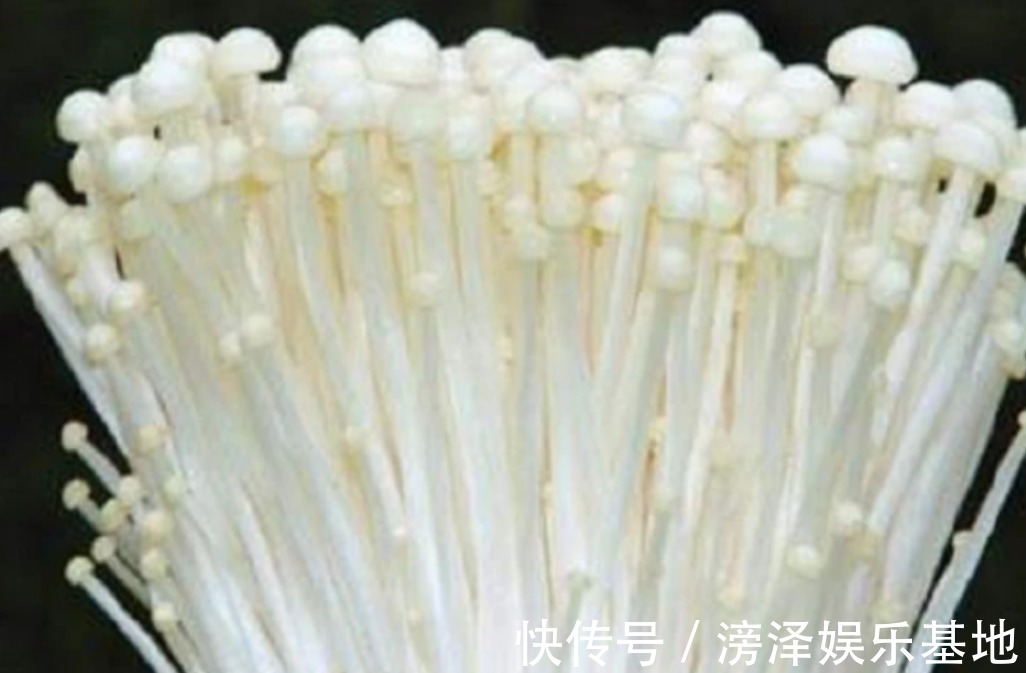 中老年人|金针菇不用花钱买，切下的金针菇放盆里，一周长好，一年都吃不完