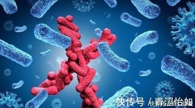 专家|神经内科专家:饭后“一零食”不出20天,失眠不扰,睡得踏实