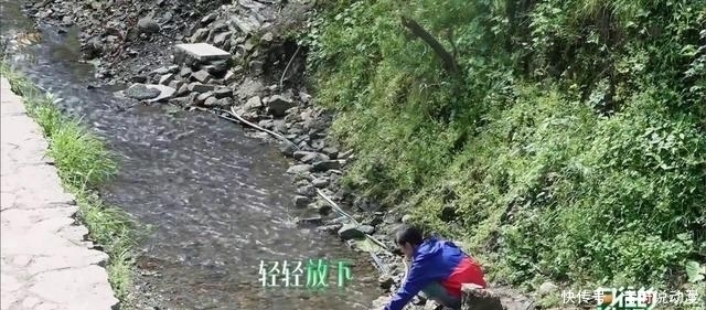 《向往的生活5》来袭,网友:这三个月,我又不担心综荒了!