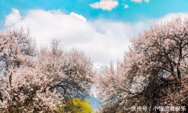 大唐|阳春三月，春回大地，三月赏花好去处