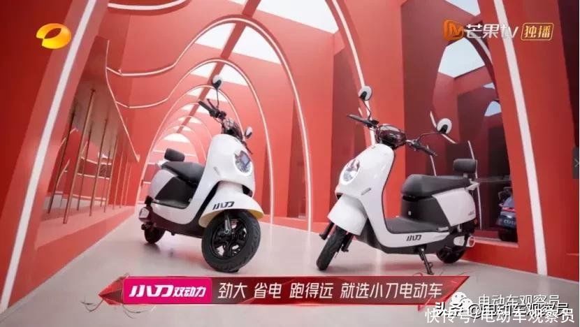 乡爱、浪姐、王牌完美收官，小刀疑成最大赢家