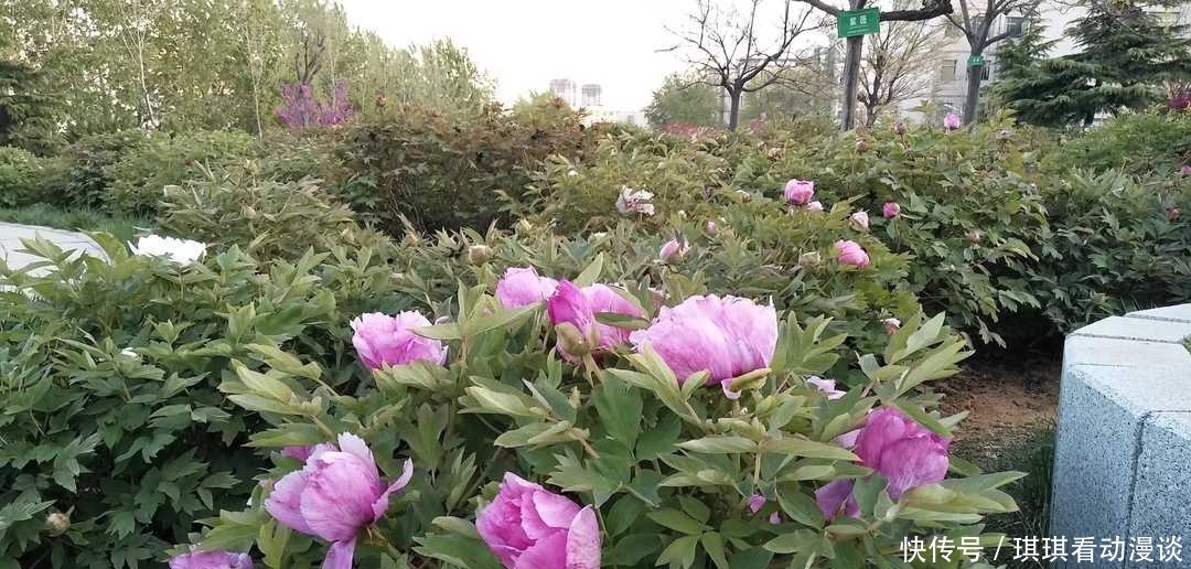 办事|曾国藩:不要多管闲事,有福不可享尽,有势不可使尽