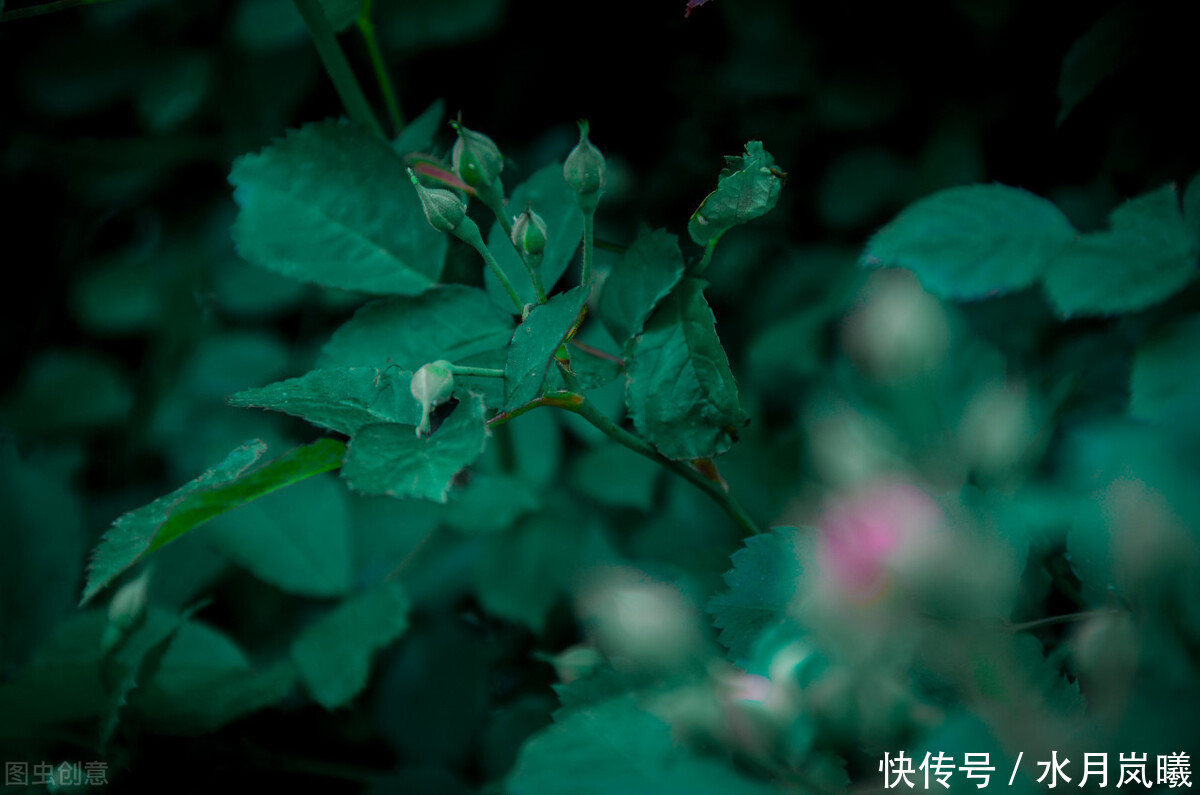 些人|闲来静处,且将诗酒猖狂。唱一曲归来未晚,歌一调湖海茫茫