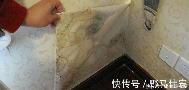 腻子层|墙纸和乳胶漆到底哪个甲醛少？一开始不懂被坑，你们可别跟着上当