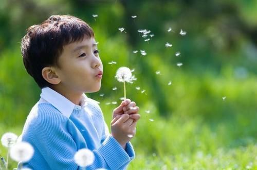 x染色体|夫妻中,谁的基因决定了孩子的智商和颜值?