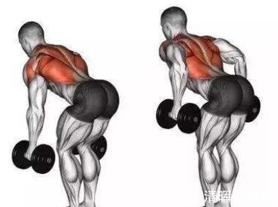 训练|以健康为目才是健身的本质,健身本不复杂,只做这8个动作就够了