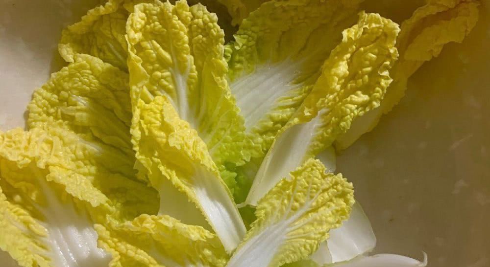 甘蓝|西兰花和白菜花、紫甘蓝和卷心菜、韭黄和韭菜…这些长得像的蔬菜,营养大不同