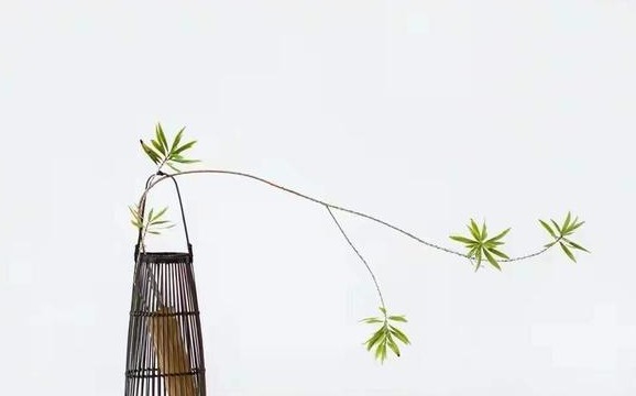 你终会明白:假如有一天,你吃饭总剩下一口,说明成熟了