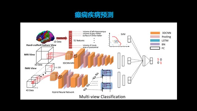 G可解释 生物医学