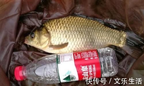 钓鲫鱼从不空手的8个配方,随便挑一样都好使