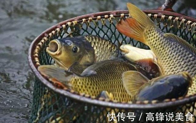 鱼肉|请停止吃这4种鱼,可能含有甲醛与重金属,建议转给家里人看看