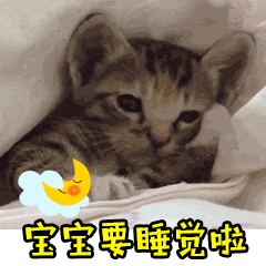 猫咪搞笑可爱gif表情包大全18 快资讯 猫咪搞笑可爱gif表情包大全18 快资讯