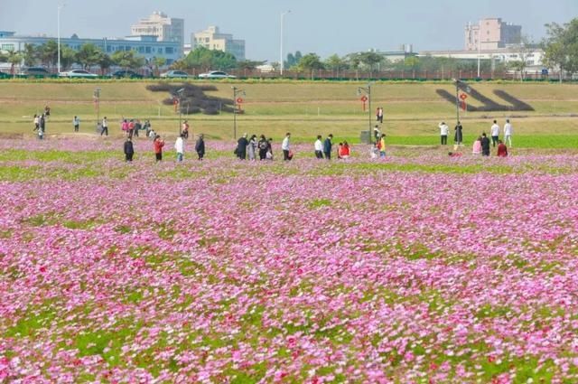 低薪|东莞“小蛮腰”刷屏朋友圈！牛年这些景点很“红”