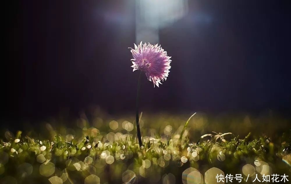 万物|立春丨听一曲古琴演奏《春风》万物知春,和风淡荡