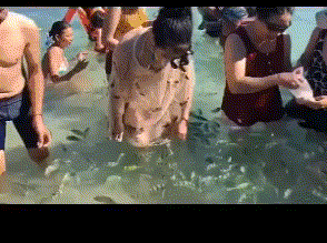 搞笑|搞笑GIF:兄弟,你该下高速了