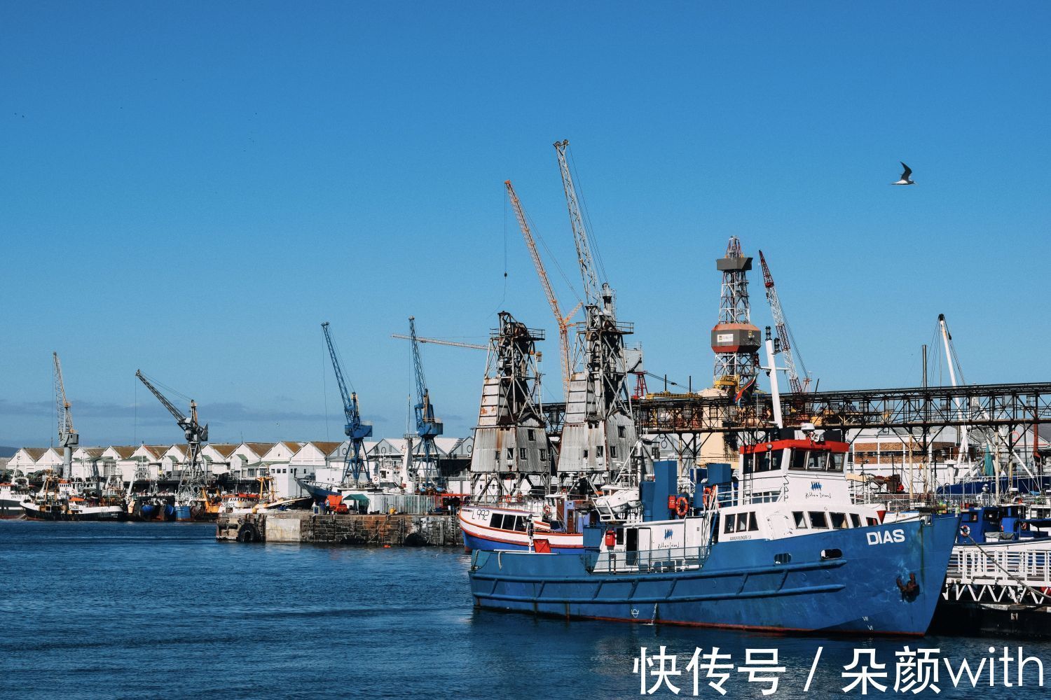 七问七答|你，真的会用海关数据开发客户吗？(附七问七答)