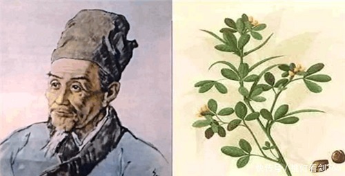 李时珍#为何中国人不吃猫肉原来李时珍早在《纲目》给出答案,古人试过