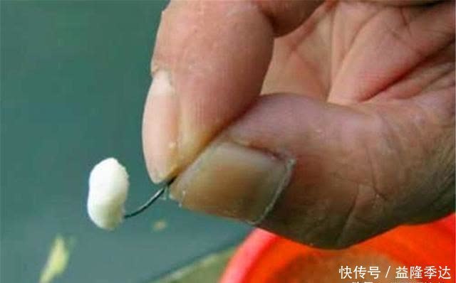 饵料|仲春钓鲫鱼,没有这些素饵搞不定的大鲫鱼,如果有,那就换一种