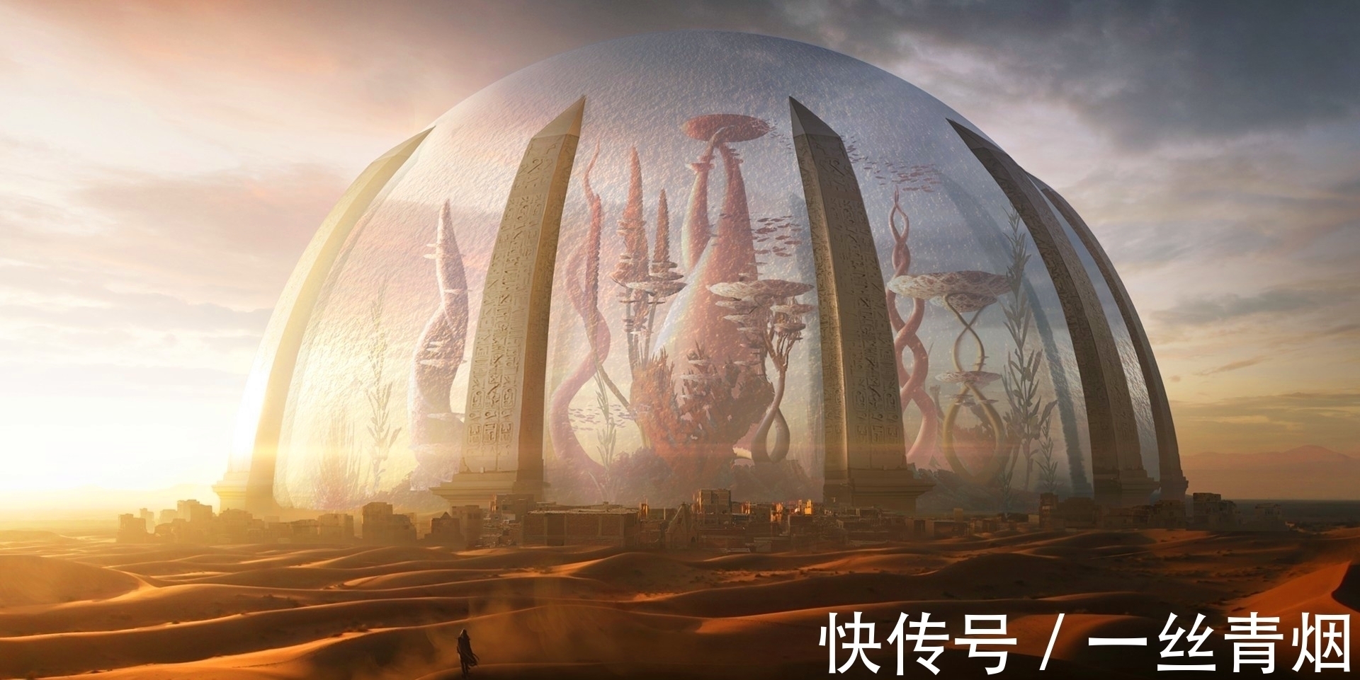 小团体&推荐3本高质量小说,其中两本字少的新书,还有一本量大管饱的