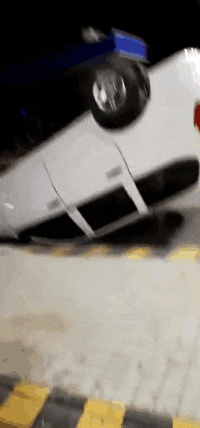 |搞笑GIF:本以为是郎才女貌 怎料想是狼心狗肺