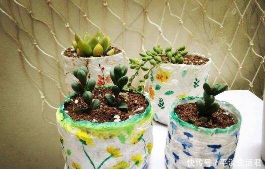 这些破烂不要扔,做成“小花盆”,个性又漂亮,比买的强“百倍”!